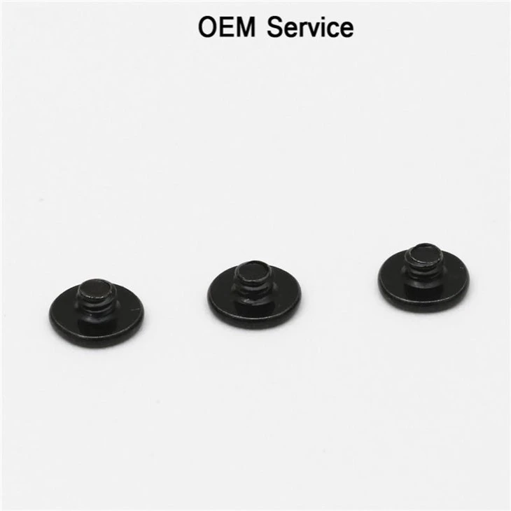 Black Flat Head Screw High Precision Tiny Screw