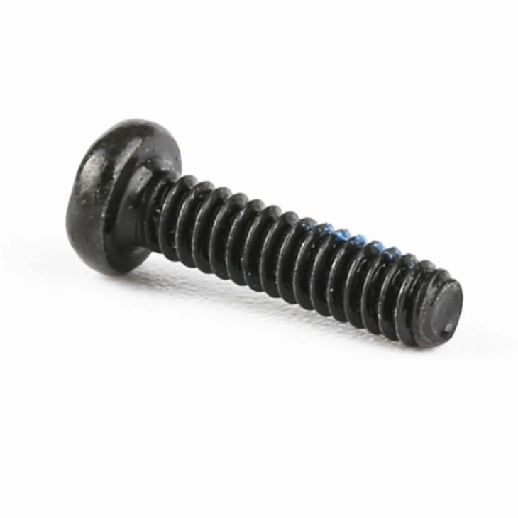 Custom Flat Head Black Galvanized Torx Screw
