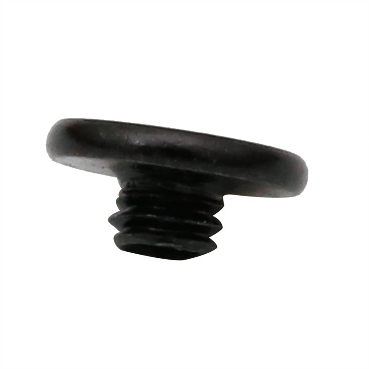 Flat head phillips mini black screw
